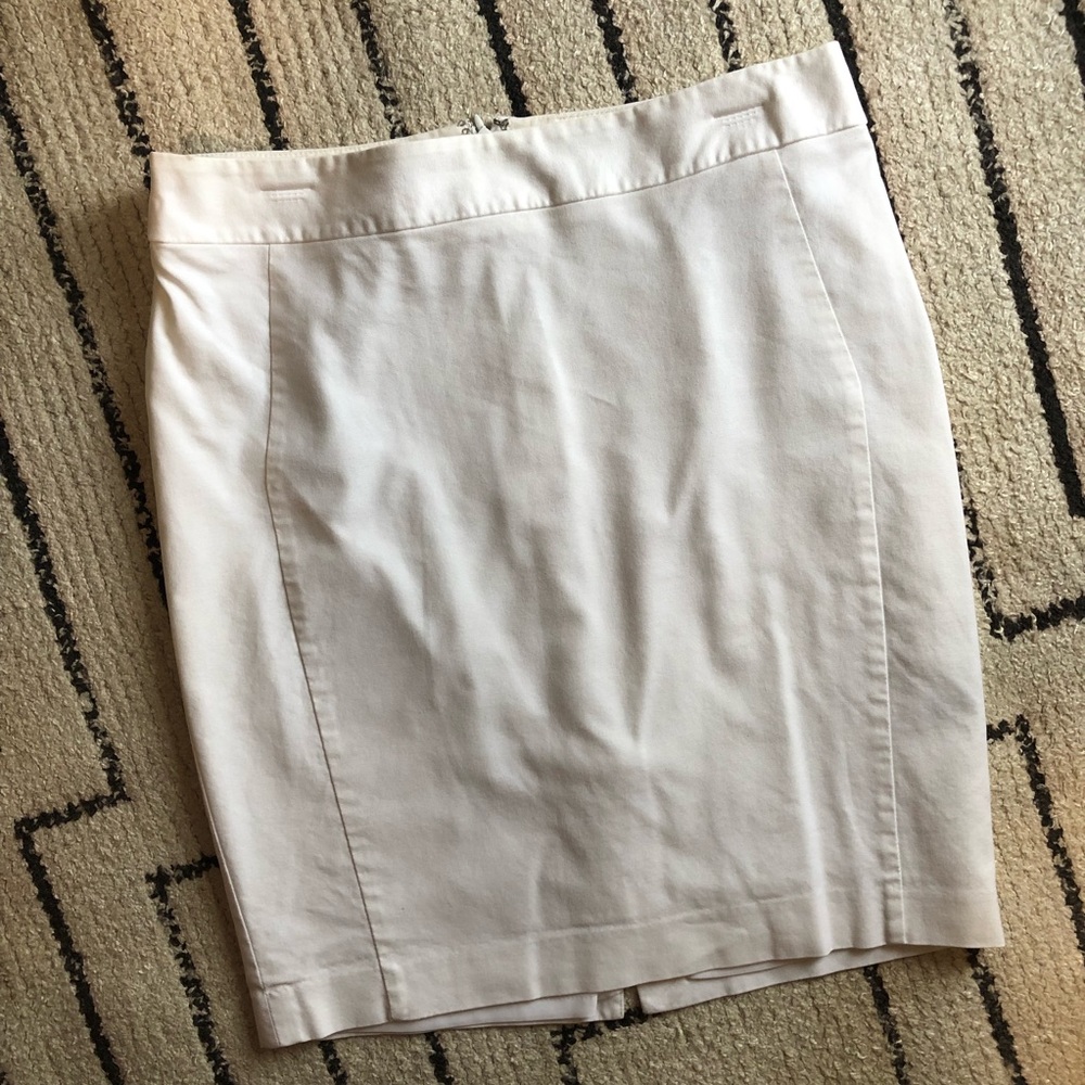 The Limited skirt
